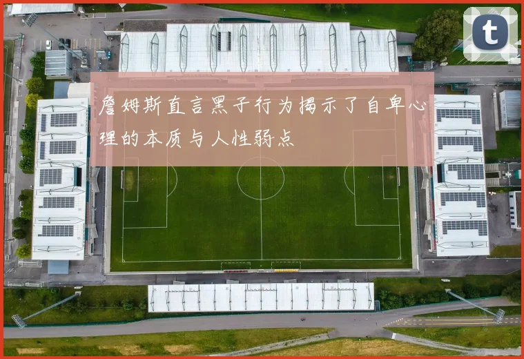 詹姆斯直言黑子行为揭示了自卑心理的本质与人性弱点