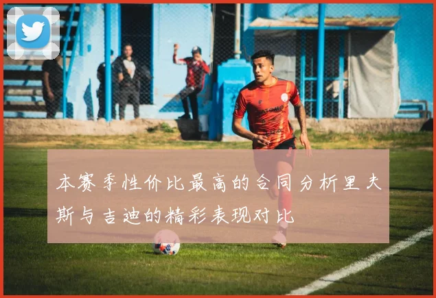 本赛季性价比最高的合同分析里夫斯与吉迪的精彩表现对比