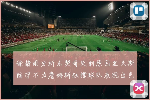 徐静雨分析东契奇失利原因里夫斯防守不力詹姆斯独撑球队表现出色