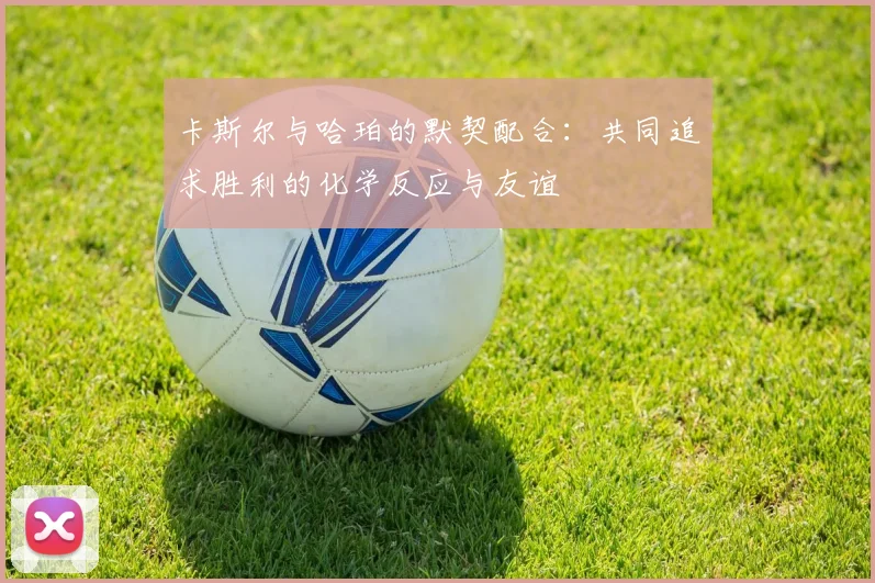 卡斯尔与哈珀的默契配合：共同追求胜利的化学反应与友谊